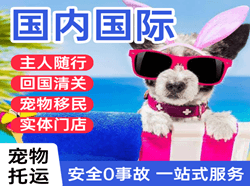 临沧博尚航空快递国际宠物托运 【国